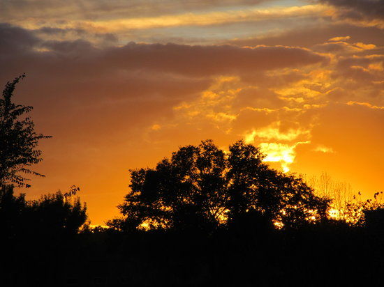 Los Poblanos Open Space